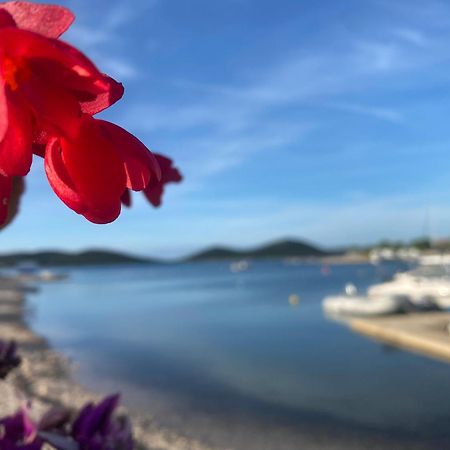 Amore Del Mare, Seaside Family Pace, Free Parking And Wifi In Camp Dalmatino Drage Buitenkant foto